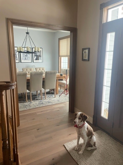 Sherwin Williams North Star in dining room with wood trim, beige walls in entryway. Decorate with warm and cool paint colors, combo is not right
