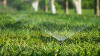 Image of grass sprinkler