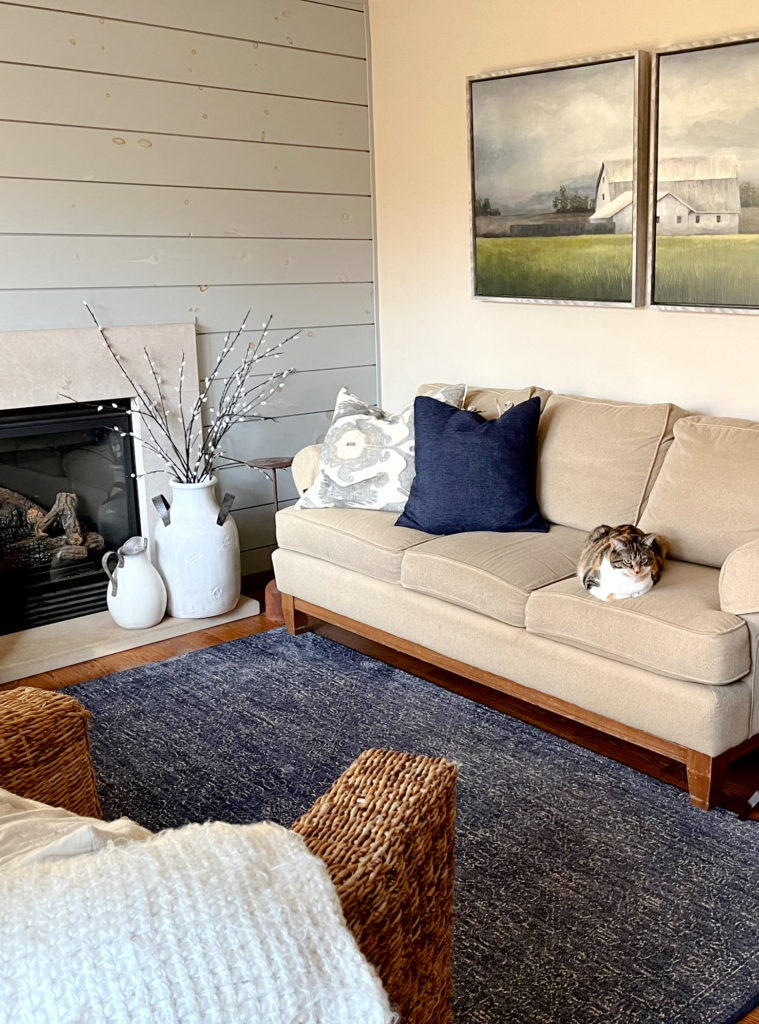 cozy living room, shiplap in Sherwin Williams Chelsea Gray, walls unknown, beige sofa, navy blue accents